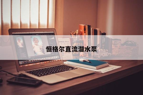 恒格尔直流潜水泵
