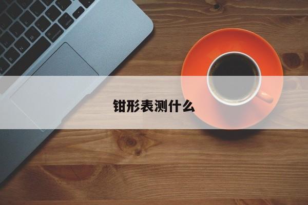 钳形表测什么