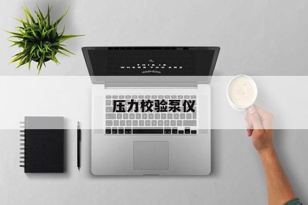 压力校验泵仪