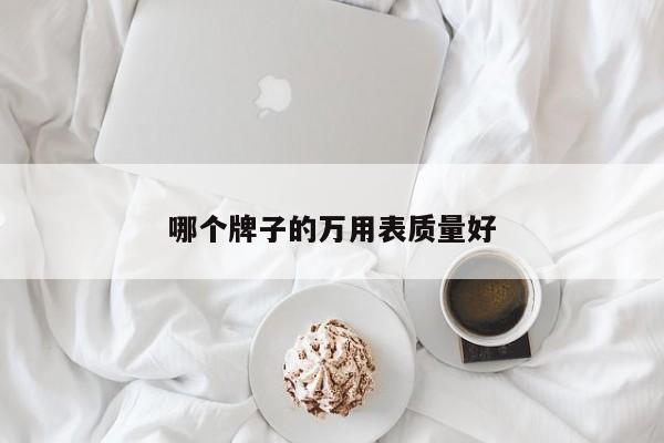 哪个牌子的万用表质量好