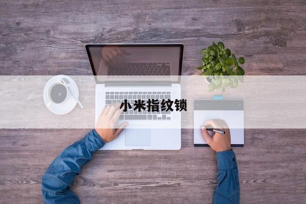 小米指纹锁
