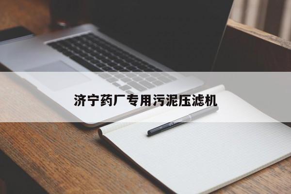 济宁药厂专用污泥压滤机