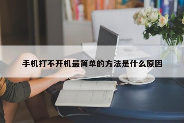 手机打不开机最简单的方法是什么原因