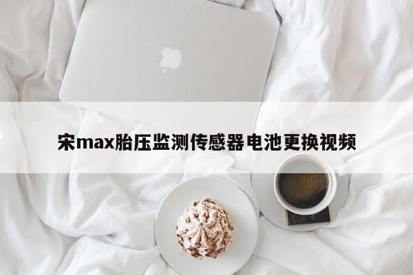 宋max胎压监测传感器电池更换视频