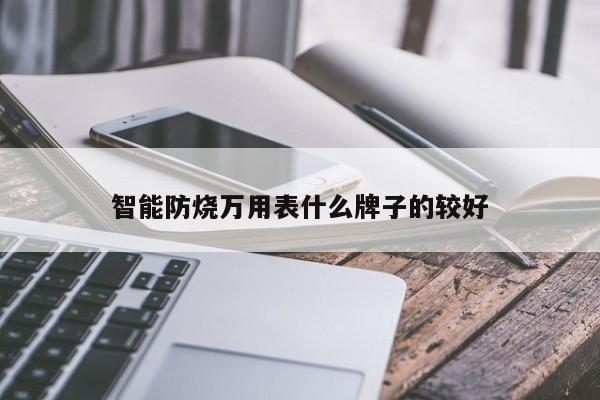 智能防烧万用表什么牌子的较好