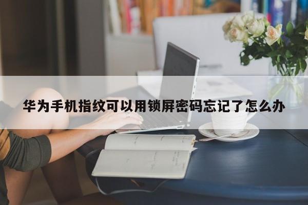华为手机指纹可以用锁屏密码忘记了怎么办