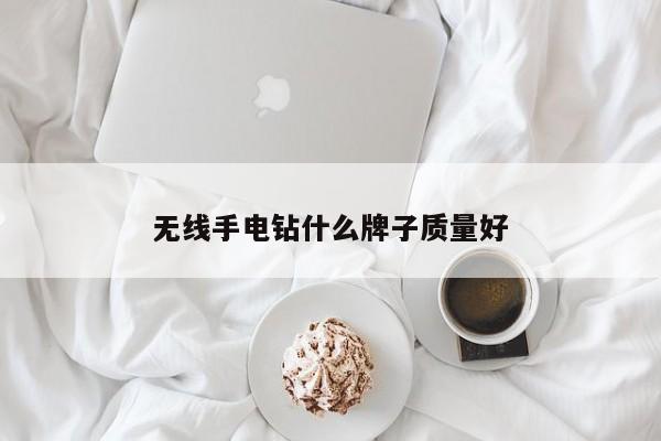 无线手电钻什么牌子质量好