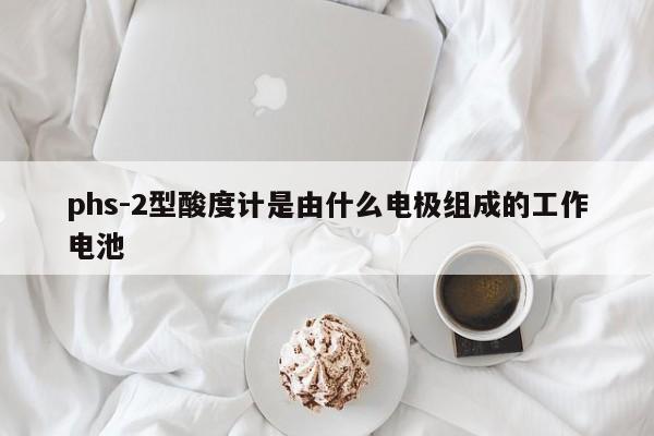 phs-2型酸度计是由什么电极组成的工作电池
