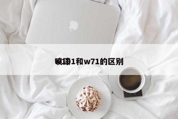 喷漆w101和w71的区别
