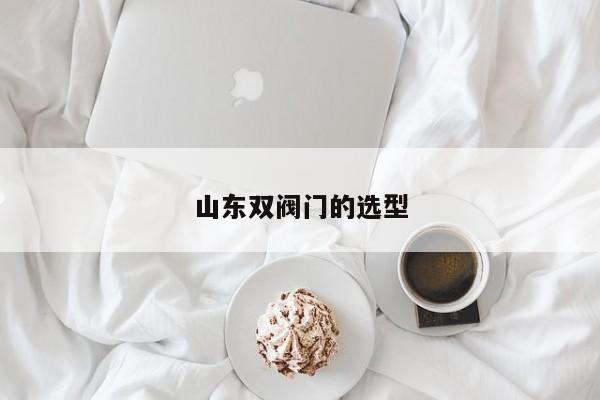 山东双阀门的选型
