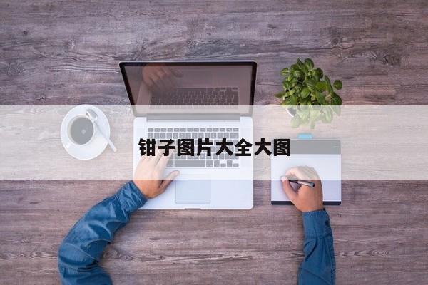 钳子图片大全大图